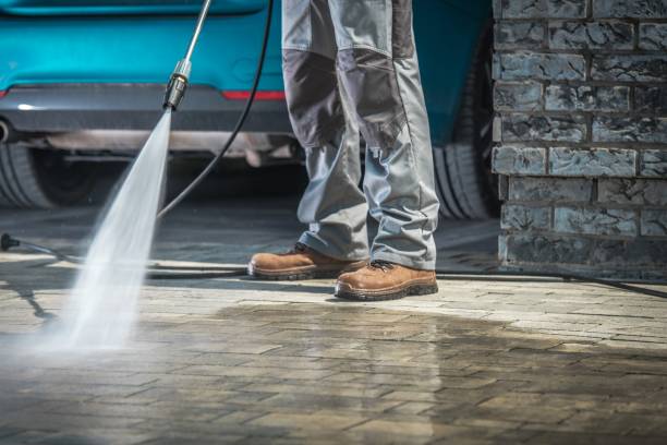 Best Sidewalk and Walkway Cleaning  in Ridgeway, VA