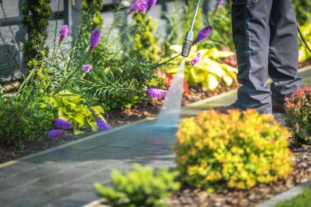 Reliable Ridgeway, VA Pressure Washing Services Solutions