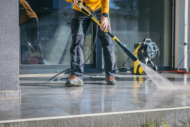 Best Animal Enclosure Cleaning  in Ridgeway, VA